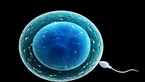 死精症,死精症原因,阜阳死精症原因