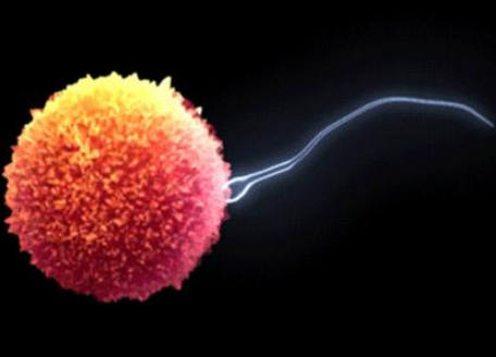 死精症,死精症原因,阜阳阜亚医院