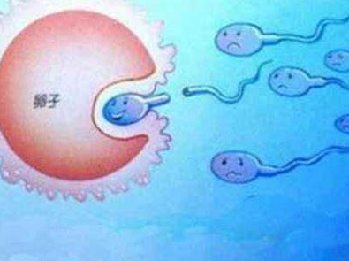无精症预防,无精症原因,无精症预防措施
