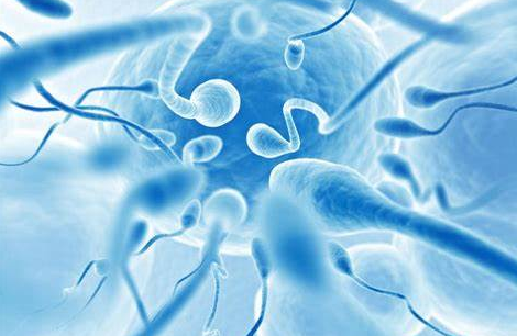 无精症,无精症预防,阜阳无精症预防