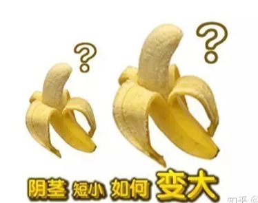阴茎增大,阴茎增大办法,阴茎增大手术